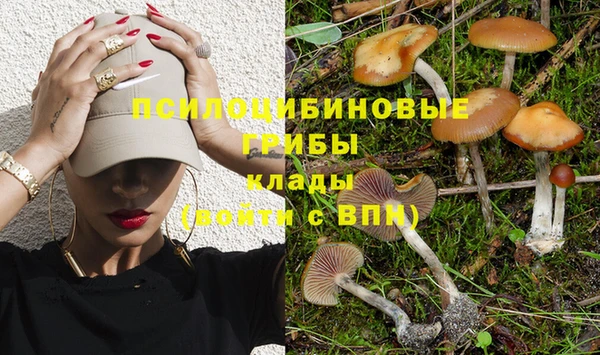 мет Алзамай