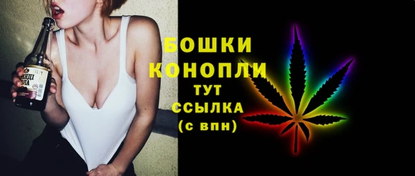 прущие грибы Нягань