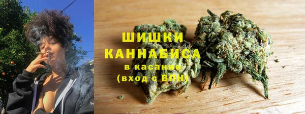 сатива Алексин