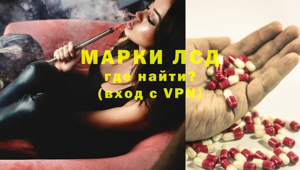сатива Алексин